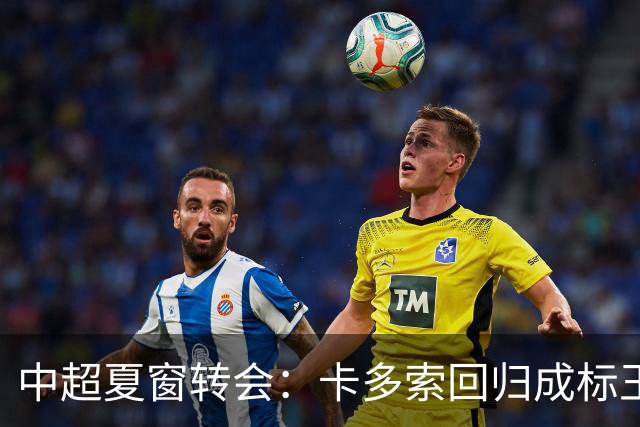 中超夏窗转会：卡多索回归成标王 山东重庆零引援