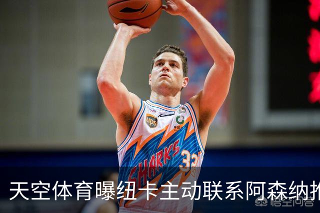 天空体育曝纽卡主动联系阿森纳推销吉马良斯，汉堡报价维埃拉遭拒
