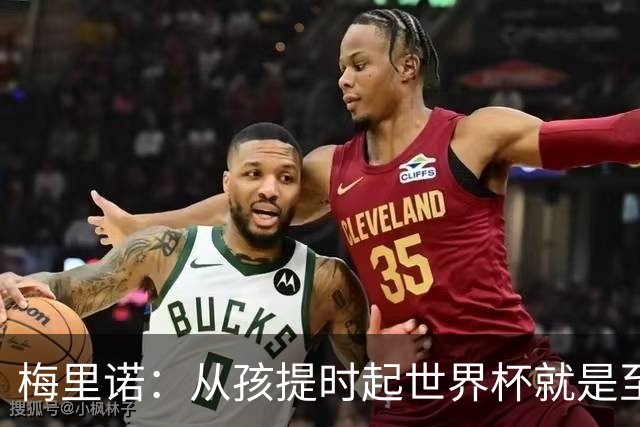 梅里诺：从孩提时起世界杯就是至高无上的荣耀，这要归功于大家