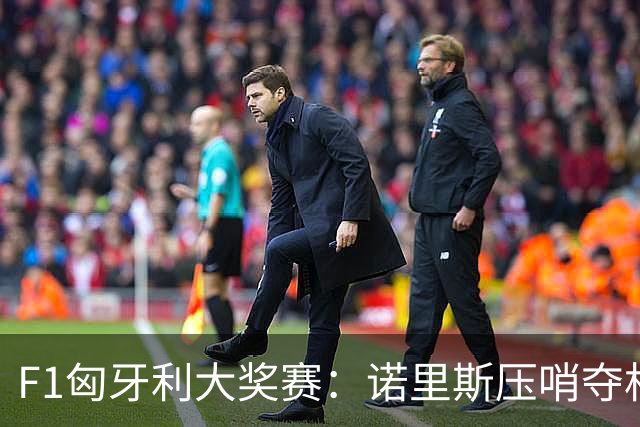 F1匈牙利大奖赛：诺里斯压哨夺杆